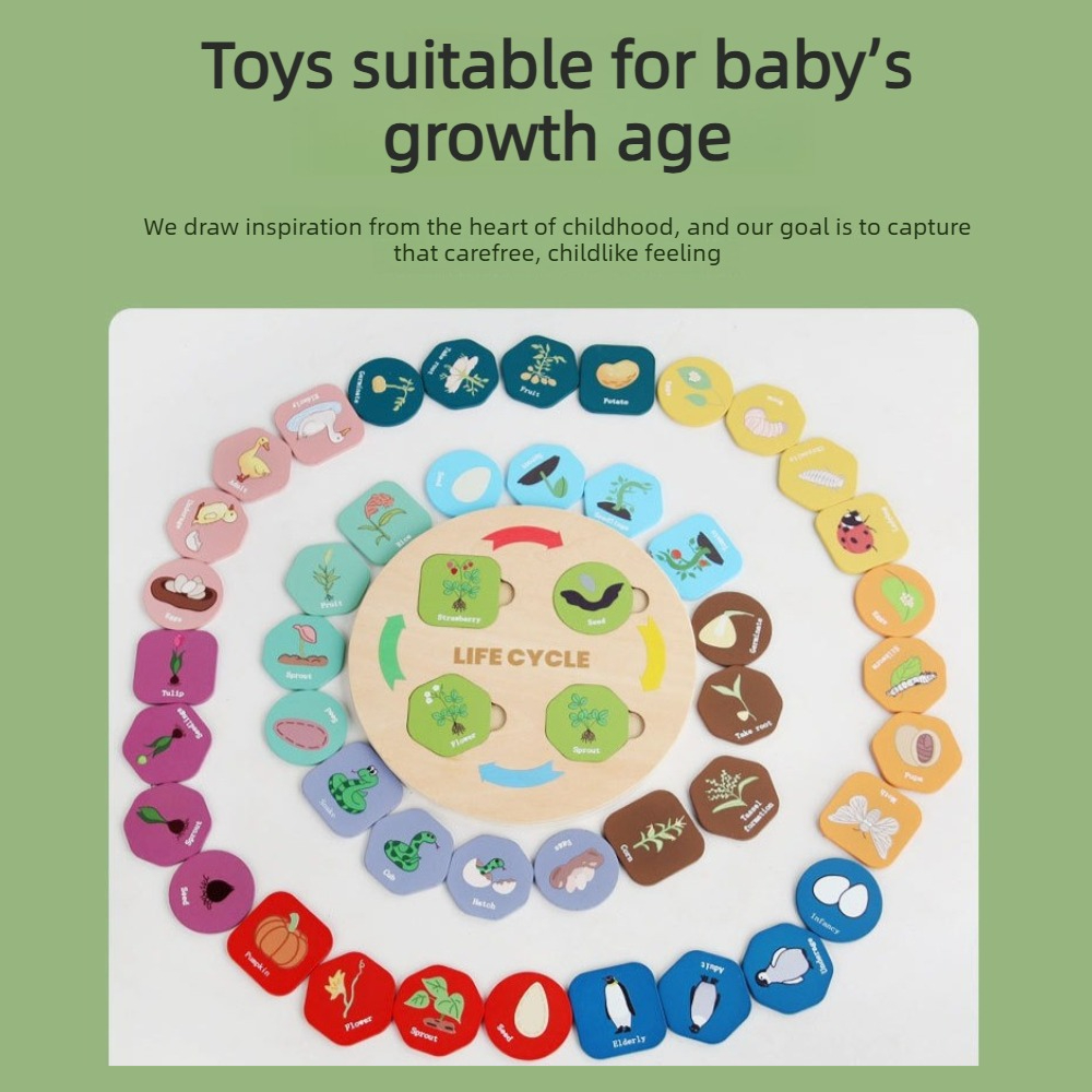 ตัวต่อไม้ 1 ชิ้น รูปแบบวงจรชีว - Kids Toys Cycle บทวิจารณ์และราคา