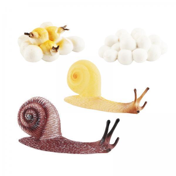 ของเล่นถาดวงจรชีวิตสำหรับเด็กป - Kids Toys Cycle บทวิจารณ์และราคา