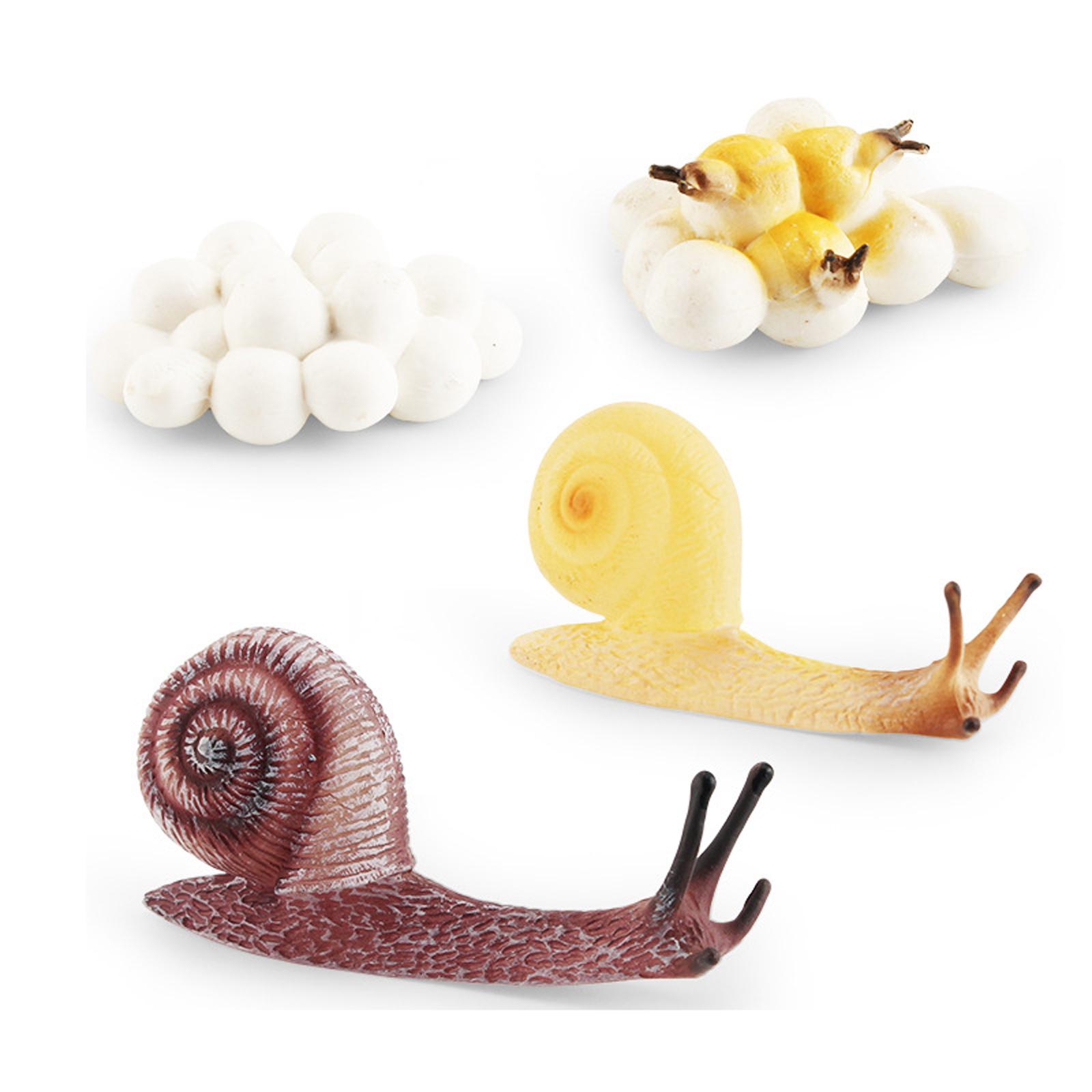 ของเล่นถาดวงจรชีวิตสำหรับเด็กป - Kids Toys Cycle บทวิจารณ์และราคา